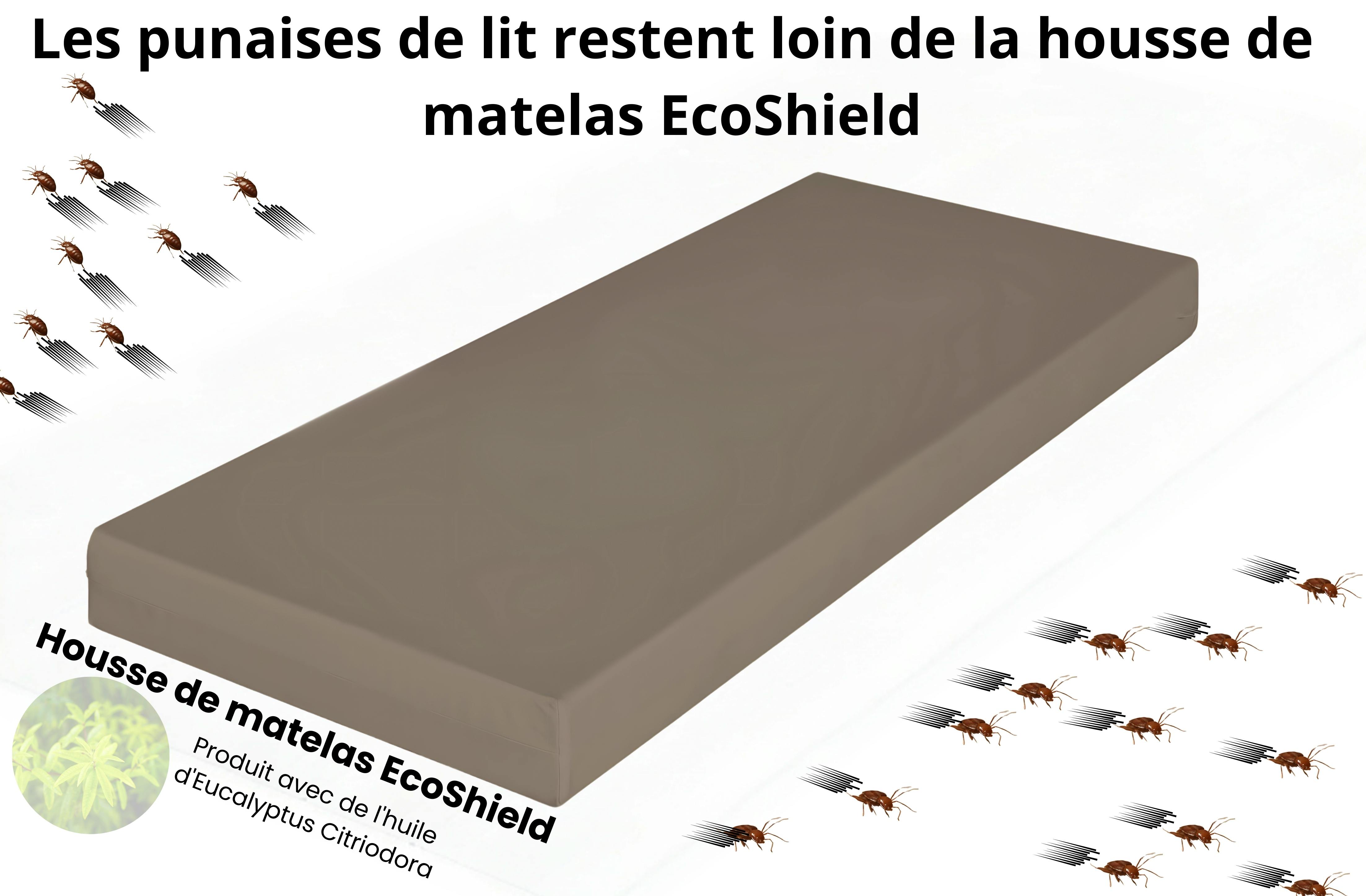 Les punaises de lit restent éloignées de la housse de matelas EcoShield