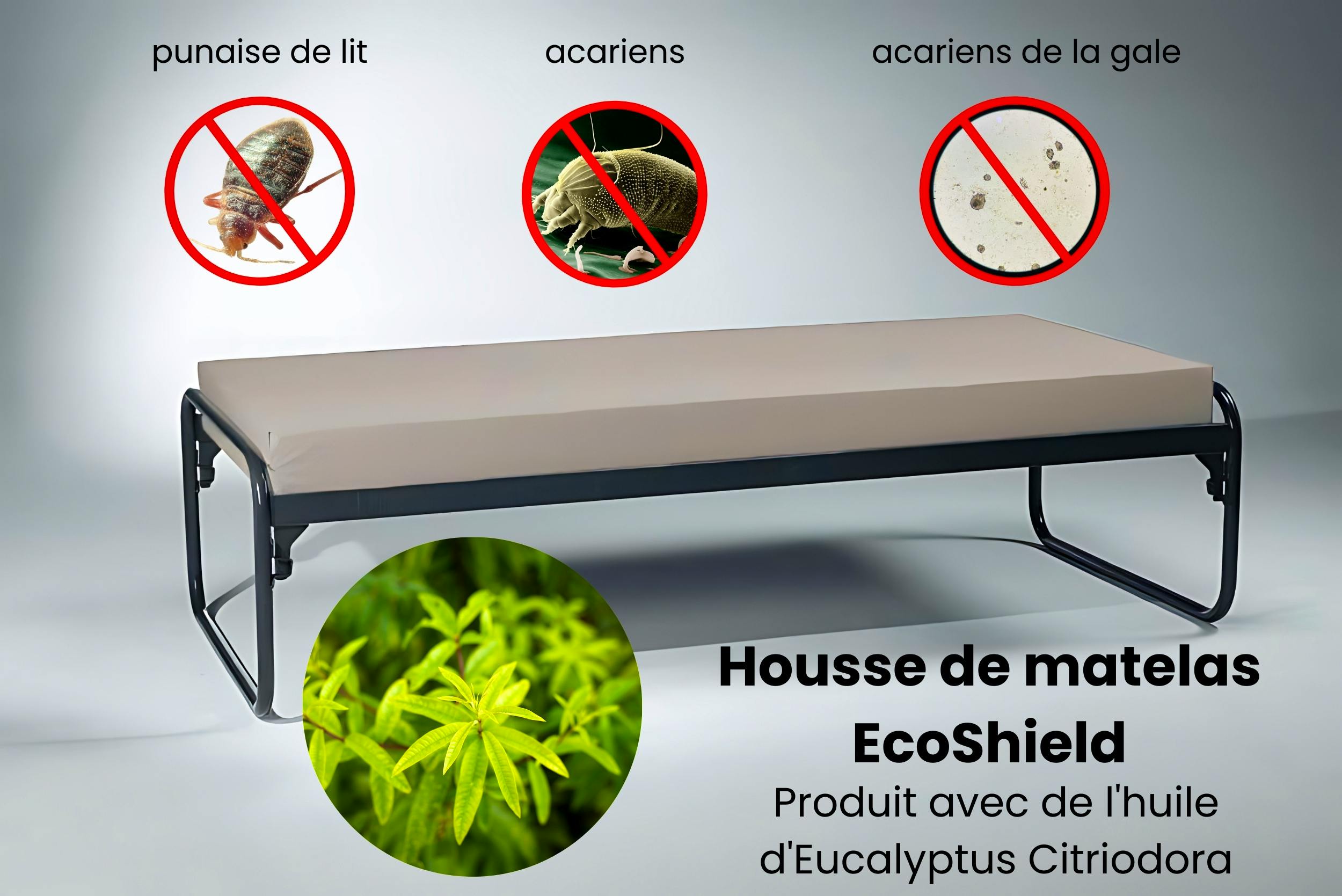 EcoShield housse de matelas anti-punaises de lit