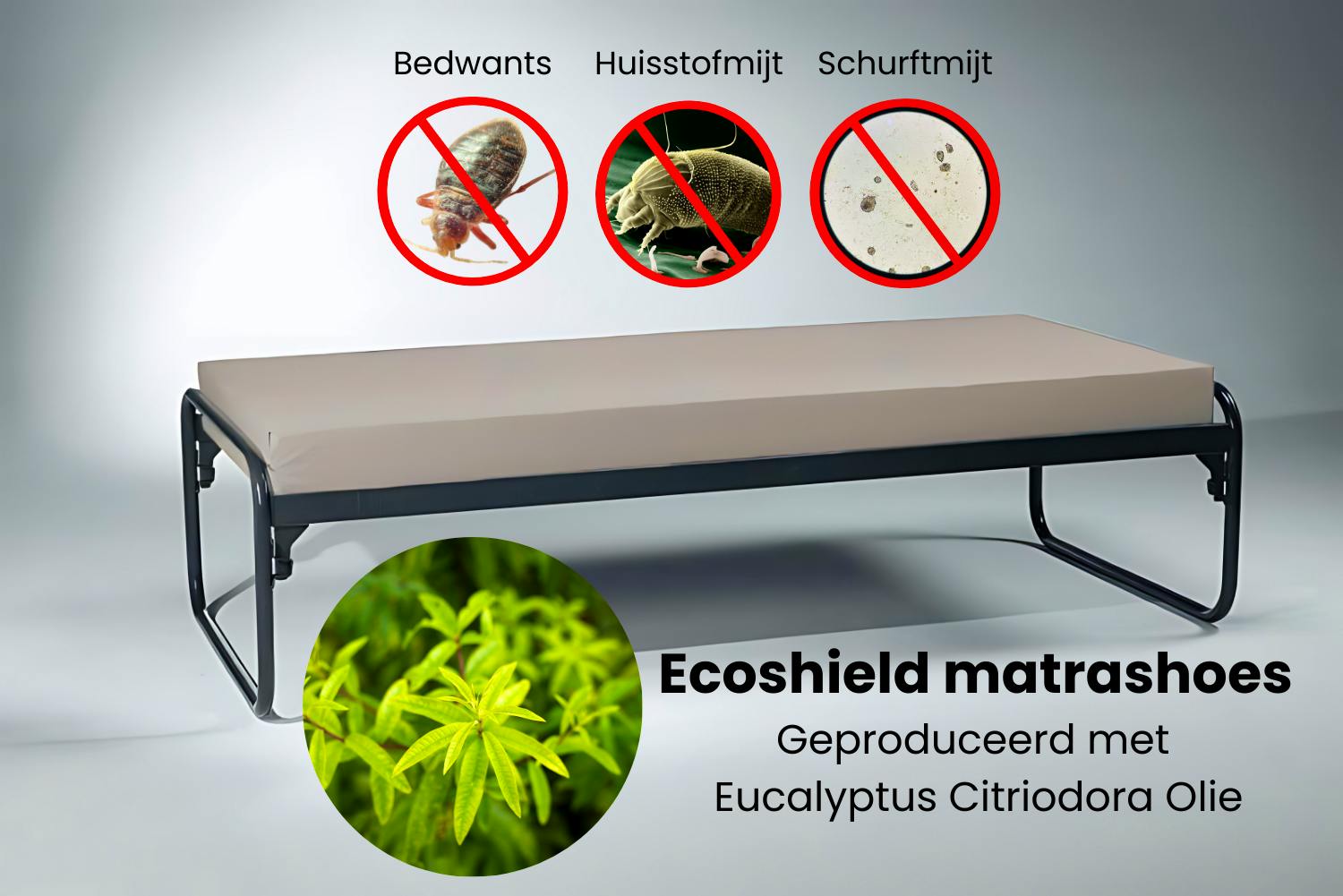 EcoShield matrashoes tegen bedwantsen, huisstofmijt en schurftmijt